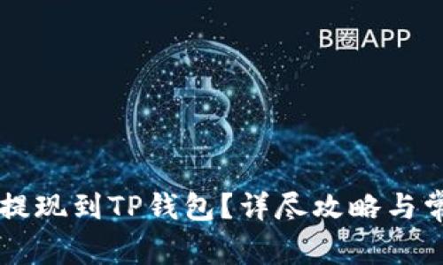 如何将OK币提现到TP钱包？详尽攻略与常见问题解答