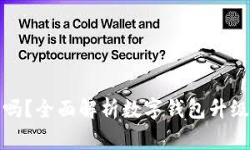 数字钱包能随便升级吗？全面解析数字钱包升级的可能性与注意事项