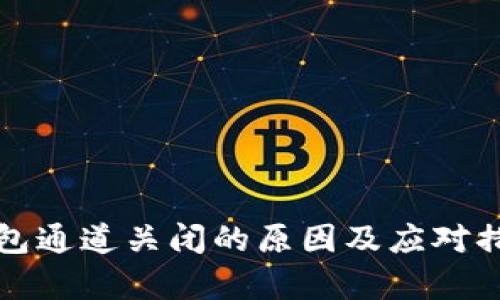 数字钱包通道关闭的原因及应对措施解析
