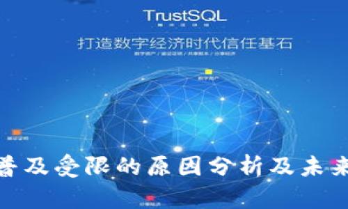 数字钱包普及受限的原因分析及未来发展趋势