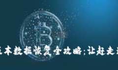 TP钱包老版本数据恢复全攻略：让赶走