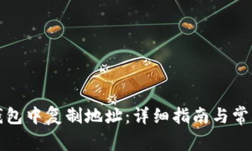 如何在TP钱包中复制地址：详细指南与常见问题解答