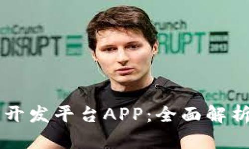 区块链钱包开发平台APP：全面解析与使用指南