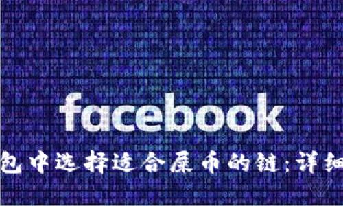 如何在TP钱包中选择适合屎币的链：详细攻略与建议