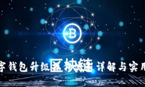 : 数字钱包升级操作流程详解与实用指南