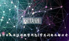 为什么无法注册数字钱包？常见问题及