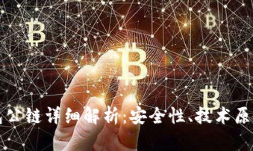 佛萨奇TP钱包公链详细解析：安全性、技术原理与应用前景