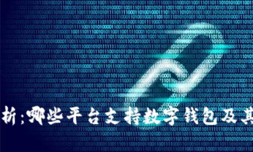 全面解析：哪些平台支持数字钱包及其影响力