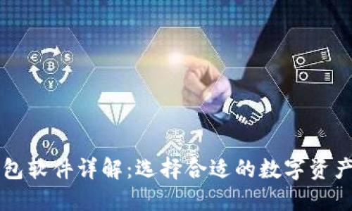 区块链钱包软件详解：选择合适的数字资产管理工具