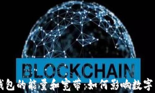 
了解TP钱包的能量和宽带：如何影响数字资产管理