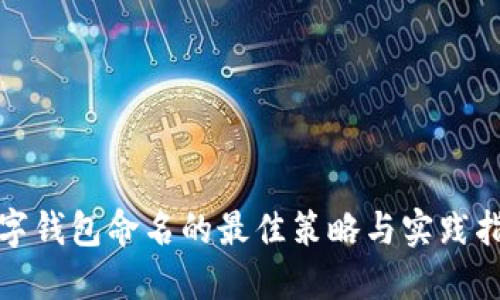 数字钱包命名的最佳策略与实践指南