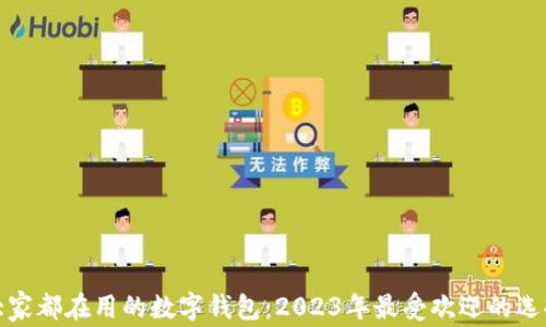 
大家都在用的数字钱包：2023年最受欢迎的选择