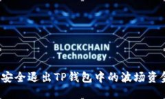 如何安全退出TP钱包中的波场资金池？