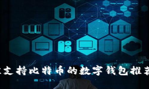 2023年最佳支持比特币的数字钱包推荐与使用指南