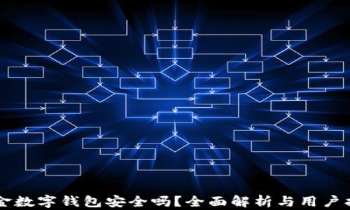 
美金数字钱包安全吗？全面解析与用户指南
