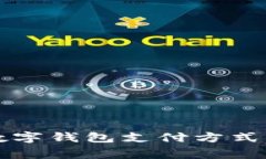 国内常用数字钱包支付方式解析与比较