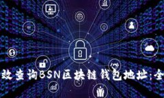 如何有效查询BSN区块链钱包地址：全面