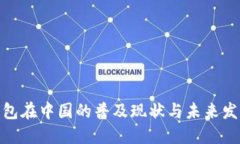 数字钱包在中国的普及现状与未来发展