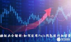WBF区块链大会解析：如何使用Puls钱包