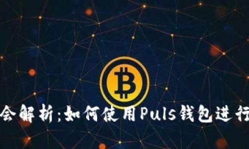 WBF区块链大会解析：如何使用Puls钱包进行加密资产管理