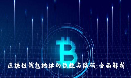 区块链钱包地址的位数与编码：全面解析