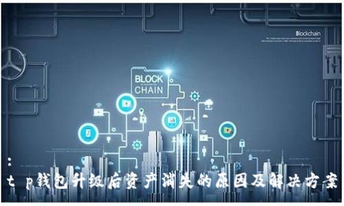 :
t p钱包升级后资产消失的原因及解决方案