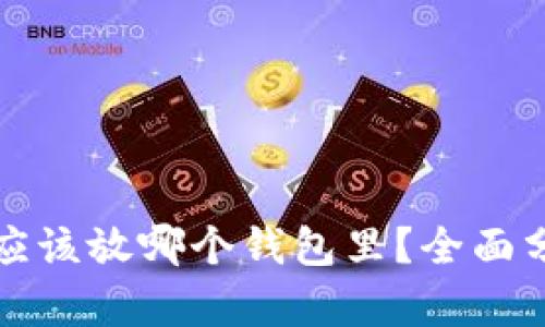 数字资产应该放哪个钱包里？全面分析与推荐