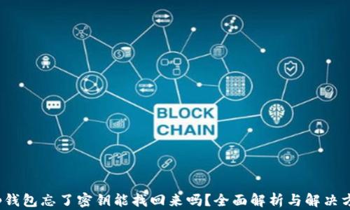 
t p钱包忘了密钥能找回来吗？全面解析与解决方案