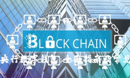 如何使用央行数字钱包：全面指南及常见问题解析