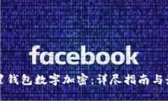 如何设置钱包数字加密：详尽指南与最佳实践