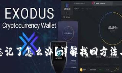 数字钱包密码忘记了怎么办？详解找回方法与安全注意事项