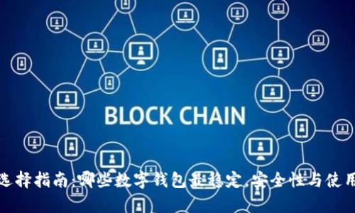 数字钱包选择指南：哪些数字钱包最稳定，安全性与使用体验分析