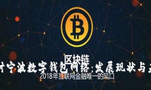 深入探讨宁波数字钱包网络：发展现状与未来趋势