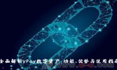 全面解析vPay数字资产：功能、优势与使用指南